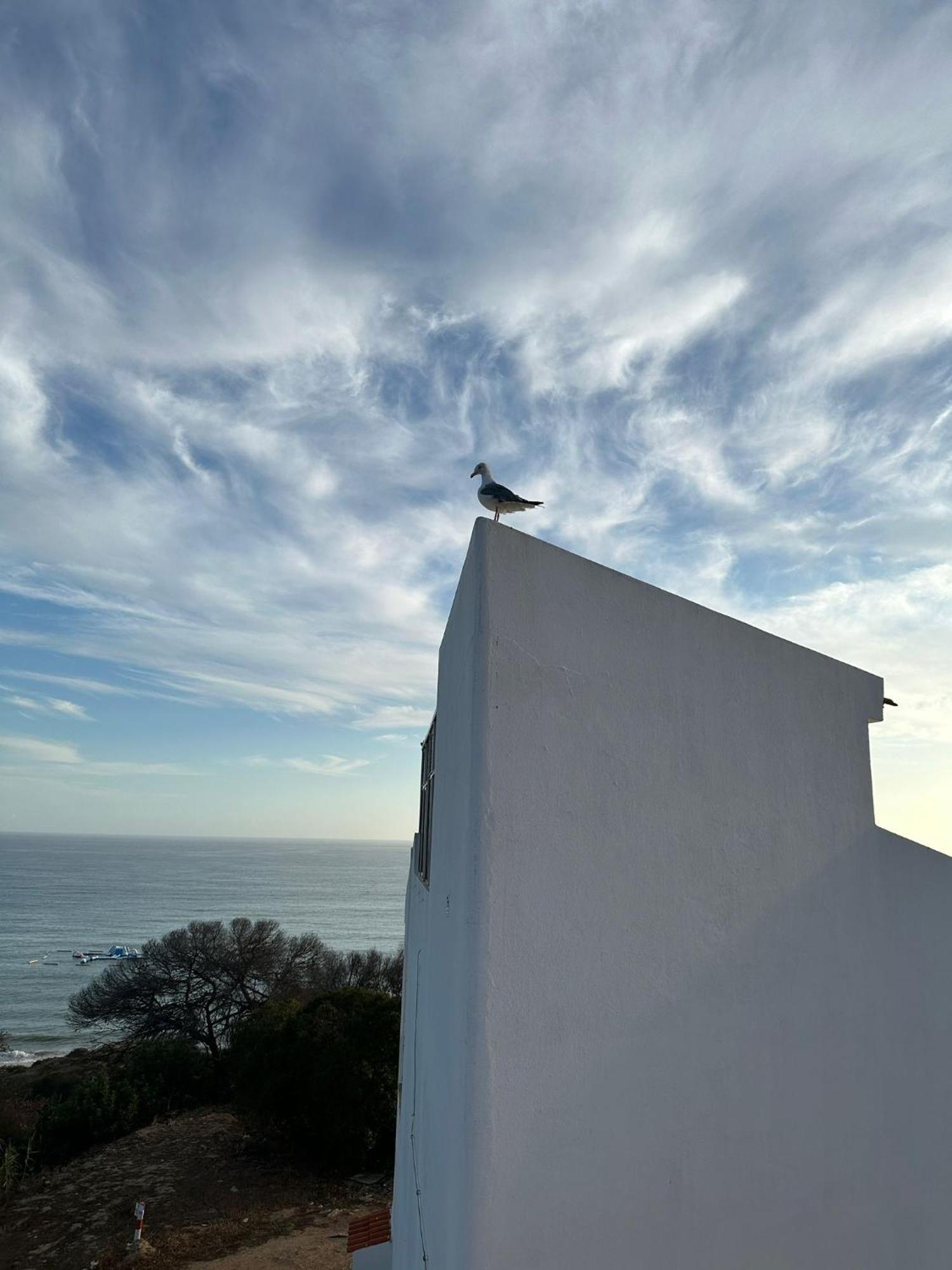 Golden Cliff House Διαμέρισμα Αλμπουφέιρα Εξωτερικό φωτογραφία